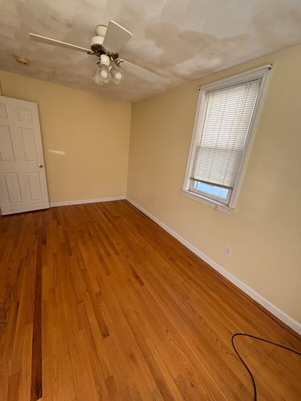 Building Photo - 53 Clemence St