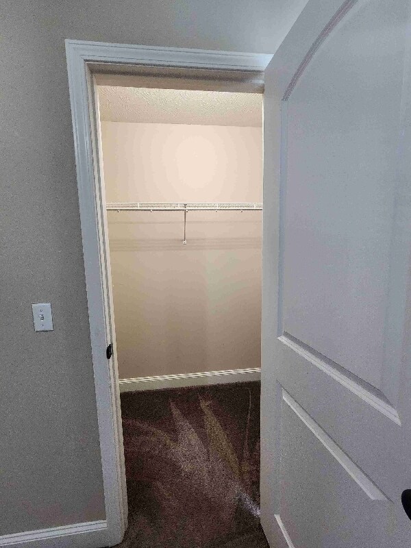 Building Photo - 429 St Cloud Ct