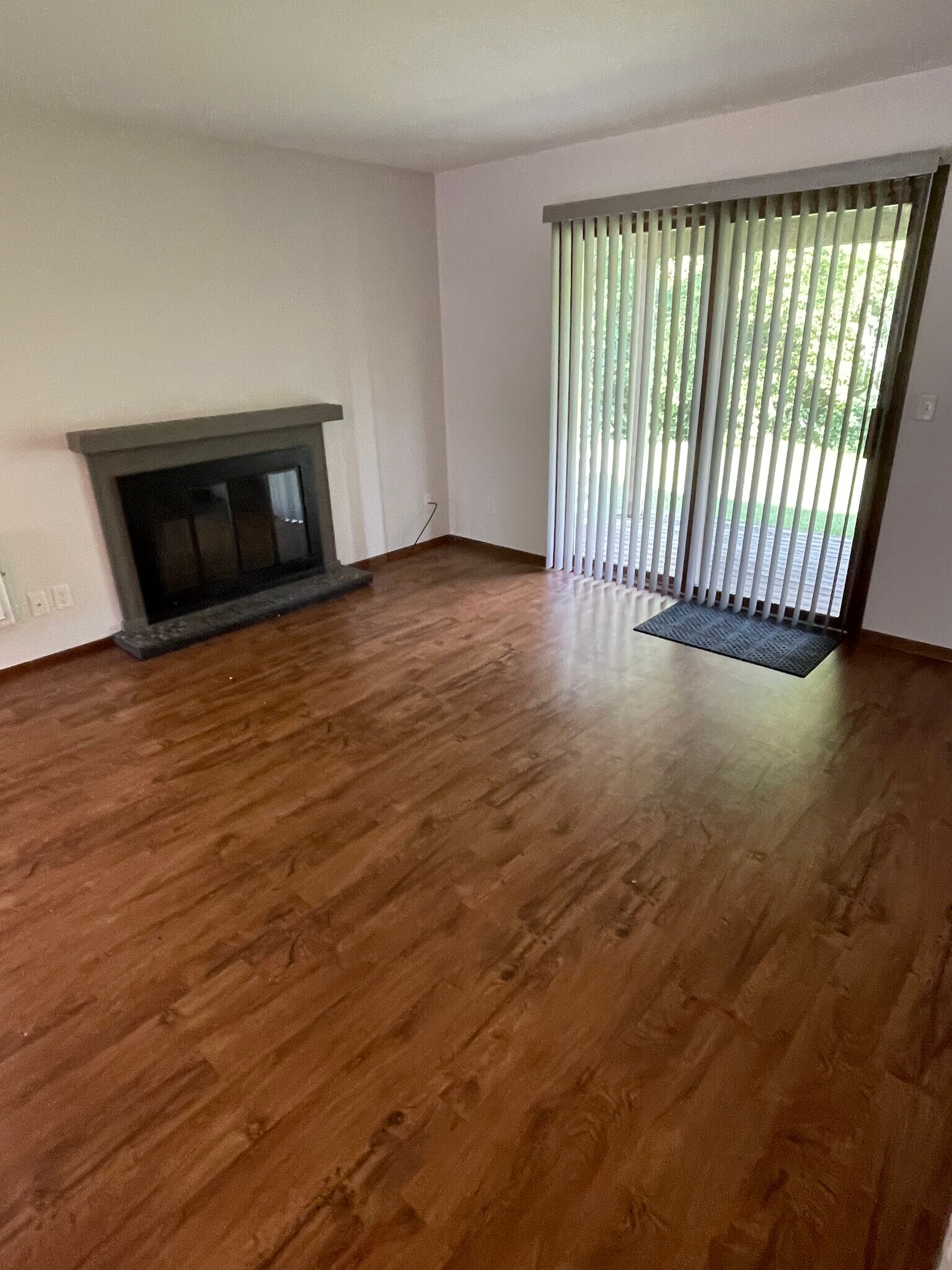 Wood-burning fireplace in living room - 4083 Applewood Ln