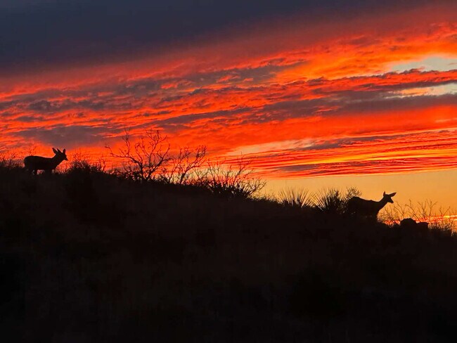 Building Photo - 12705 Chuck Wagon Rd