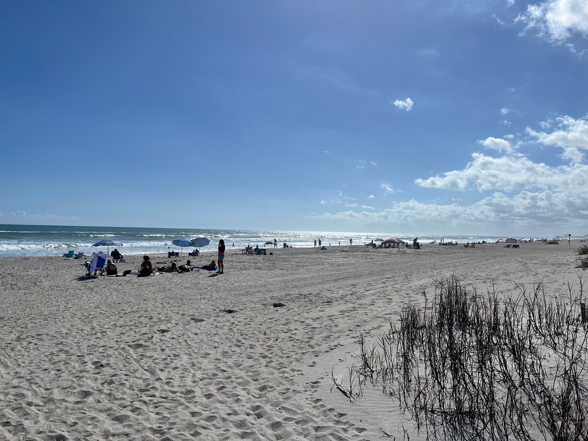 Building Photo - 299 E Central Blvd