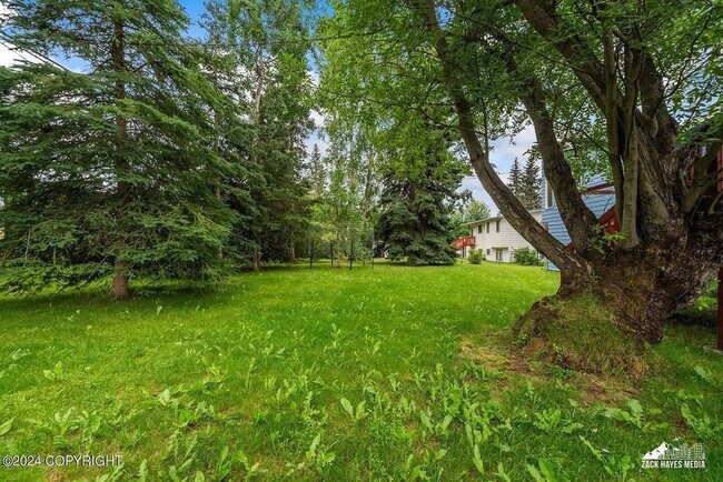 Building Photo - Newly Updated 4 Bedroom UMED Home!
