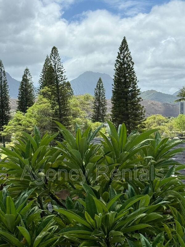 Building Photo - 427 Paumakua Pl