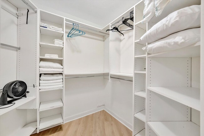 Building Photo - 1038 Contento St