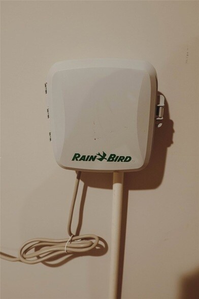 Building Photo - 8606 Blueberry Ash St