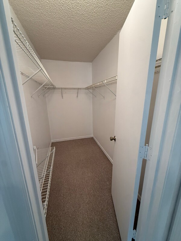 Building Photo - 6837 Woodgrain Ct