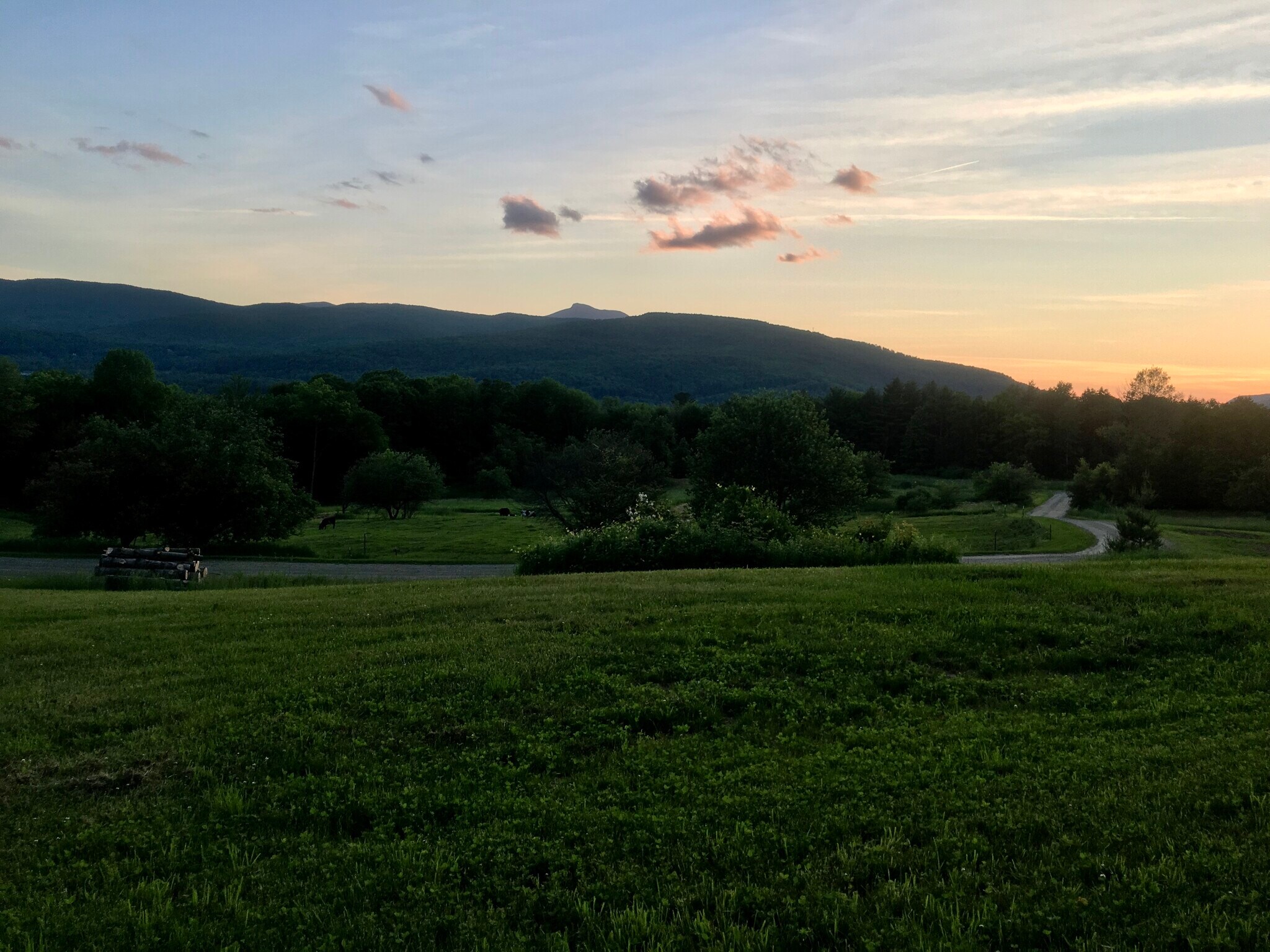 Building Photo - 475 Black Bear Holw