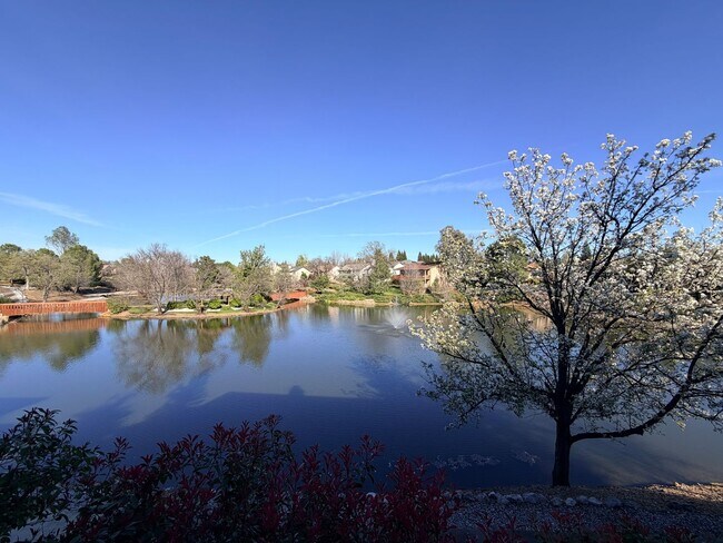 Building Photo - Beautiful Lakefront Home in the Vineyard! 55+ community