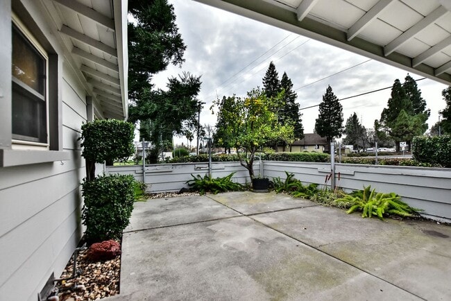 Building Photo - 498 Nut Tree Ct