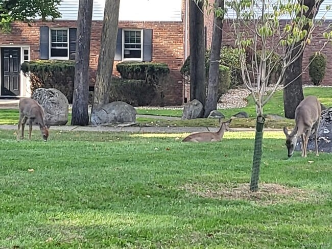 Building Photo - 13 Essex Ln