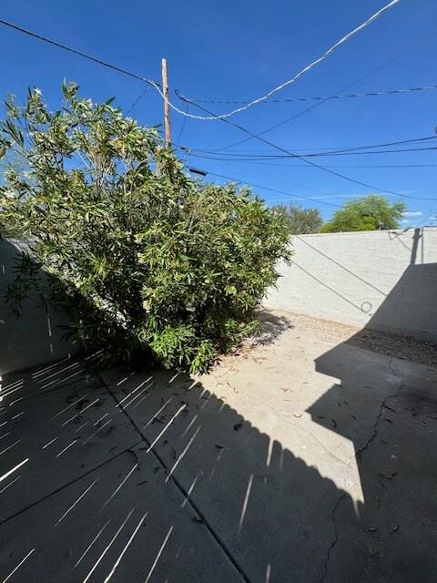 Building Photo - 1017 E West Cir Dr