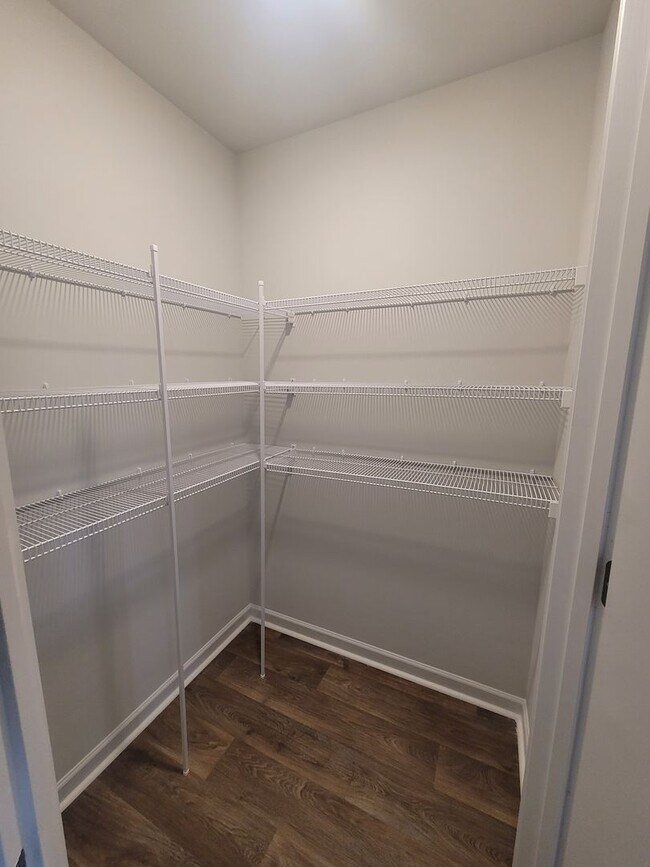 Building Photo - Welcome to our brand new 4-bedroom, 2-bathroom home located in the charming community of Castle H...