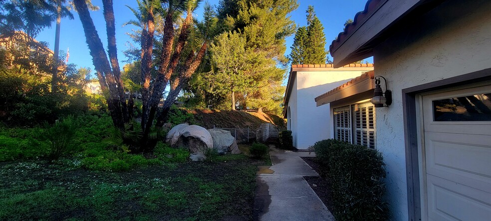 Large yard with mature trees including producing olive & lemon trees and tranquility - 16139 Ladera Piedra Way