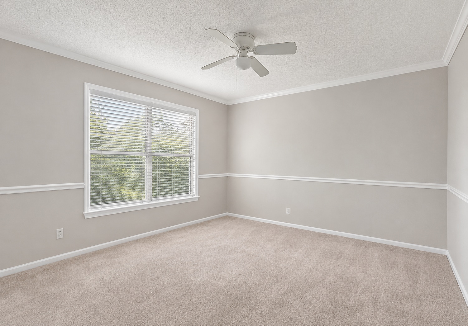 Building Photo - 545 Oneida Ct