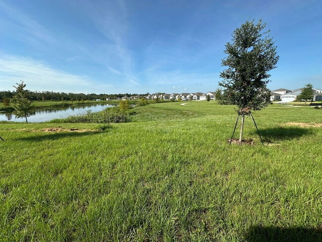 Building Photo - 3489 Chinotto Dr