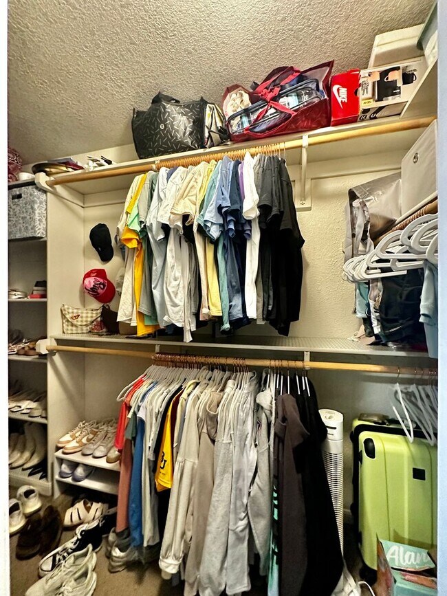 Building Photo - Spacious 4/2 Walking Distance to Campus & ...