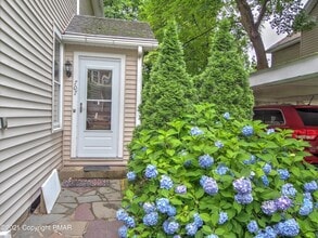 Building Photo - 707 Scott St