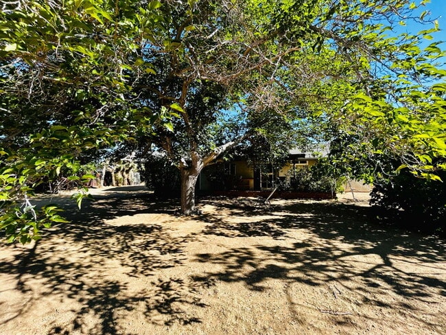 Building Photo - Spacious 2 bd, 2 ba with attached finished garage