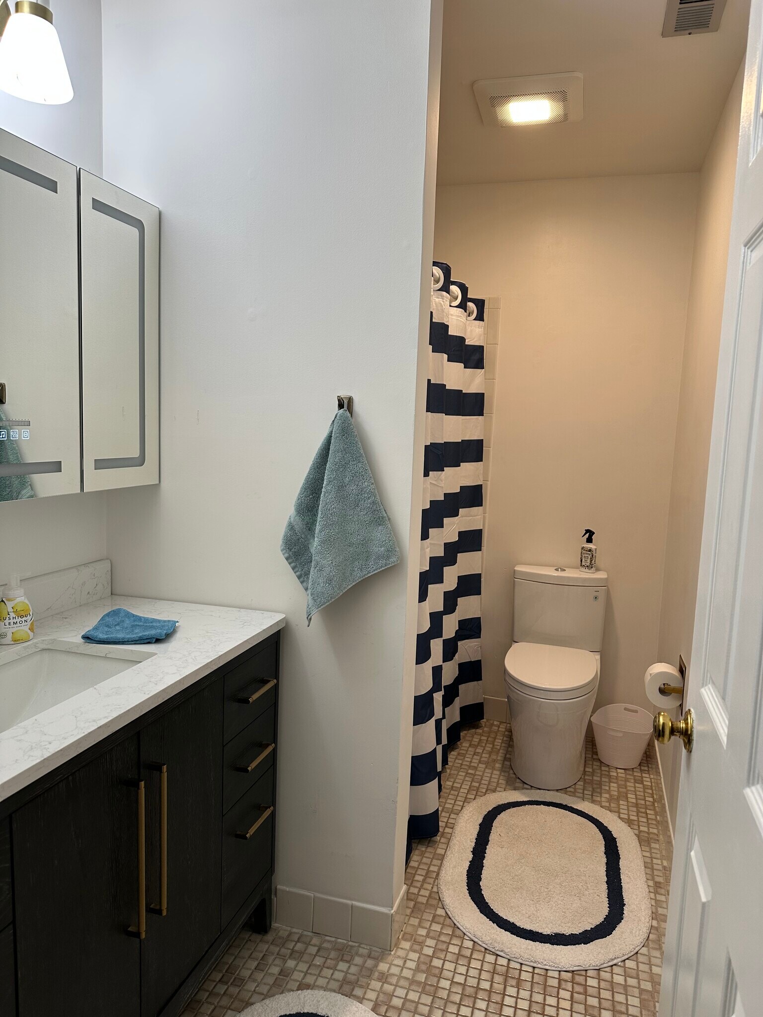 Tub, dual flush skirted toilet. - 174 Hemingway Ct