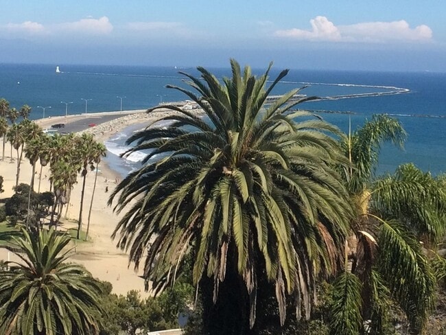 Building Photo - The Normandy