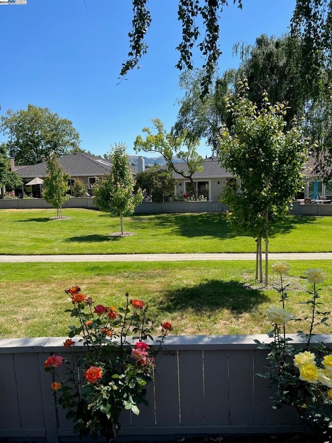 Building Photo - 535 Cambrian Way