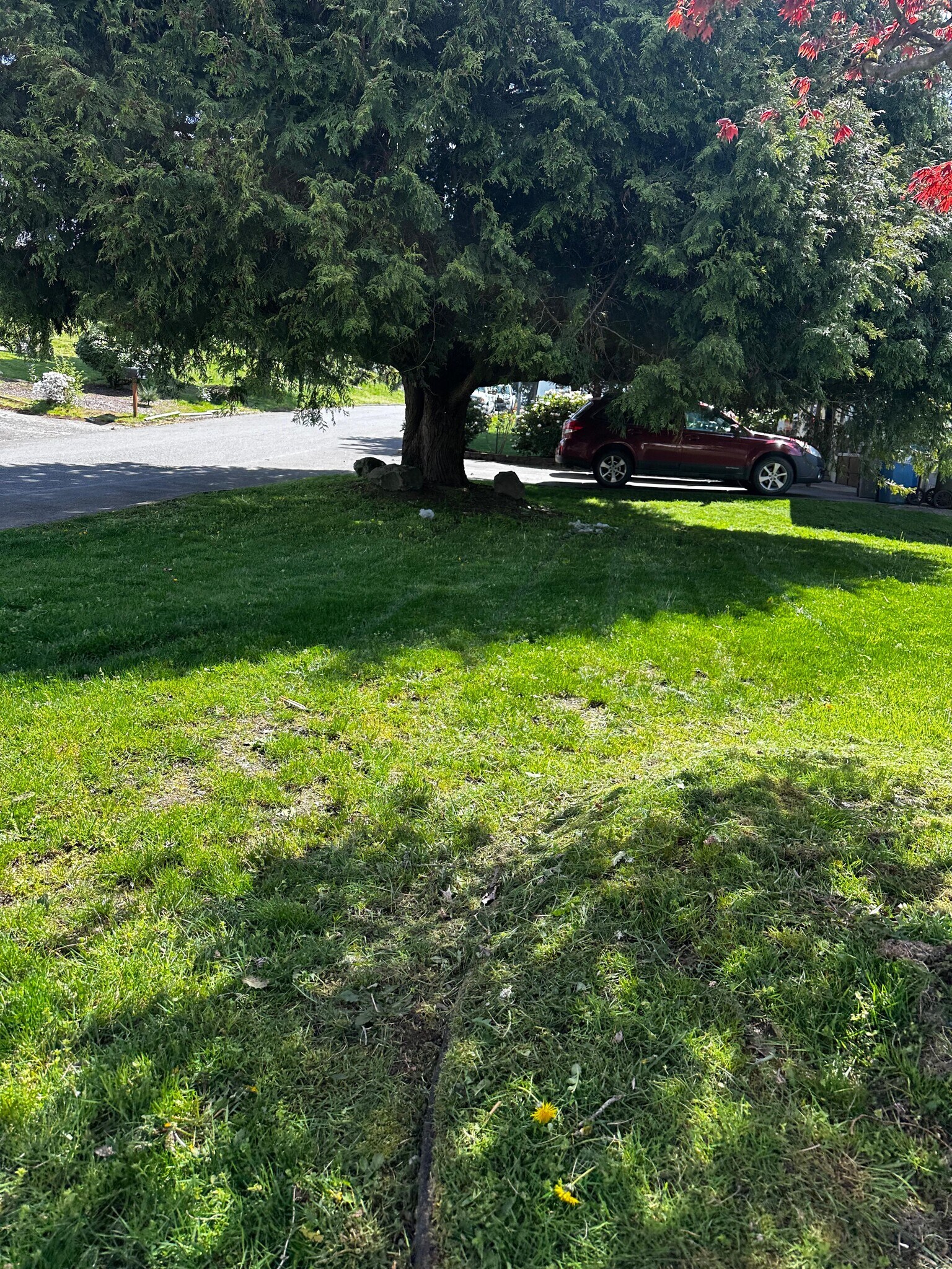 Building Photo - 29305 33rd Ave S