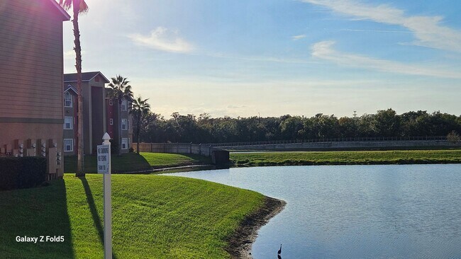Building Photo - Charming 1bed 1bath Condo in Kissimmee
