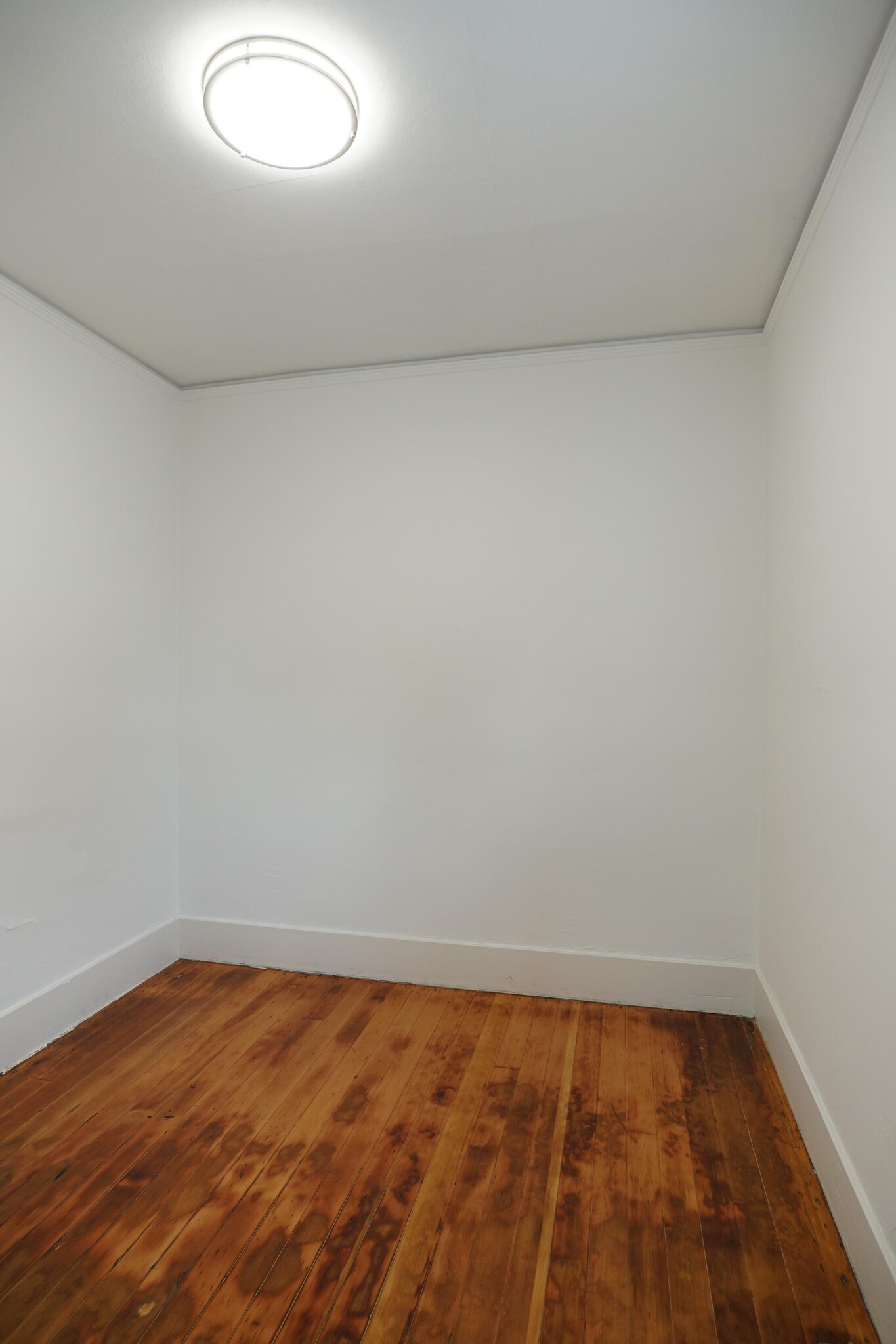Building Photo - 2107 S Cushman Ave