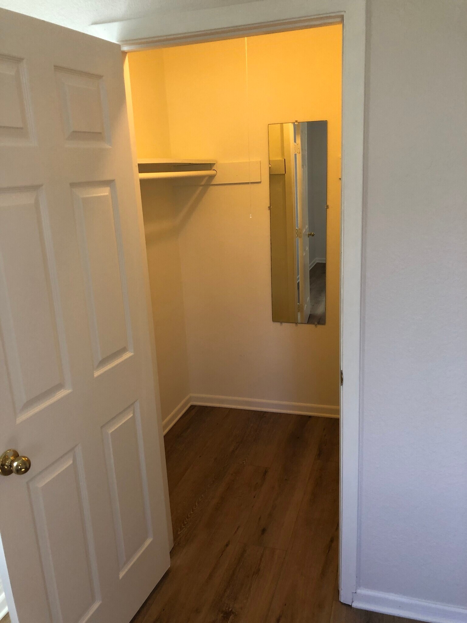 Primary Closet - 2409 Glen Springs Way