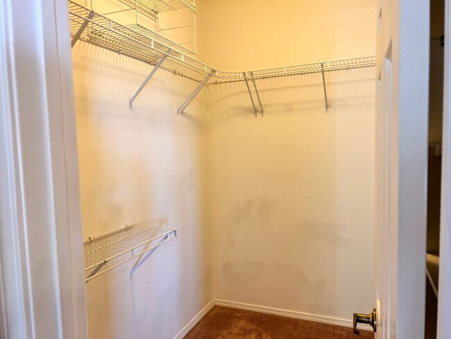 Building Photo - 3120 Payupki Cir