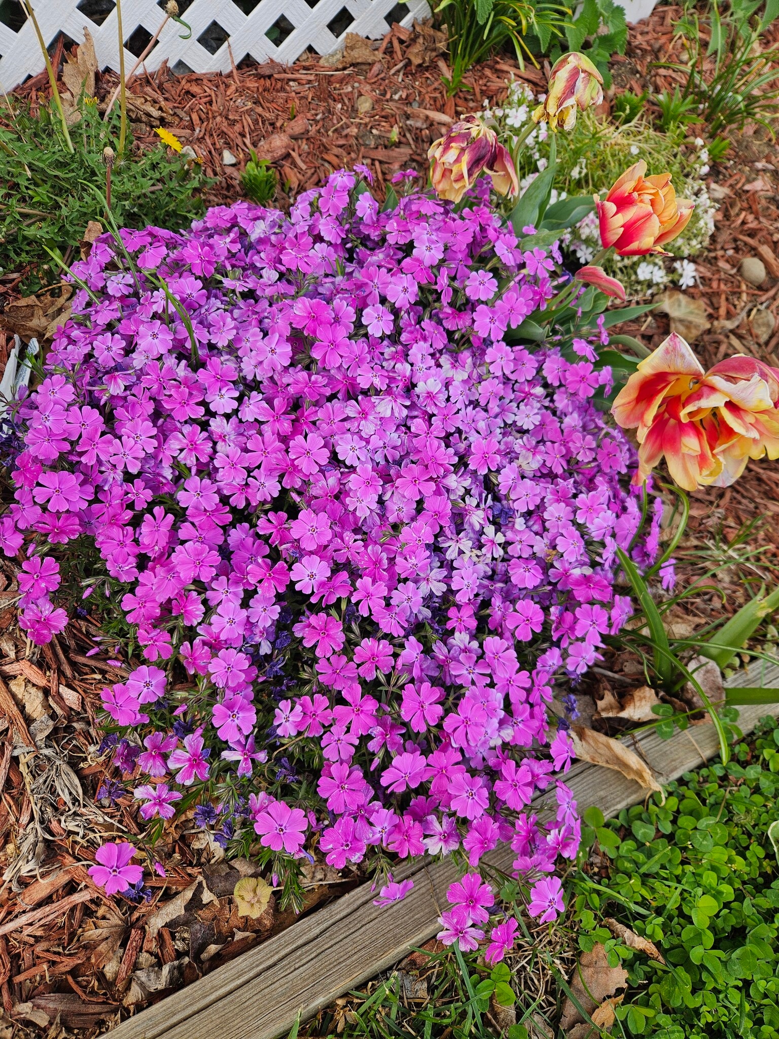 Building Photo - 11 Elm St