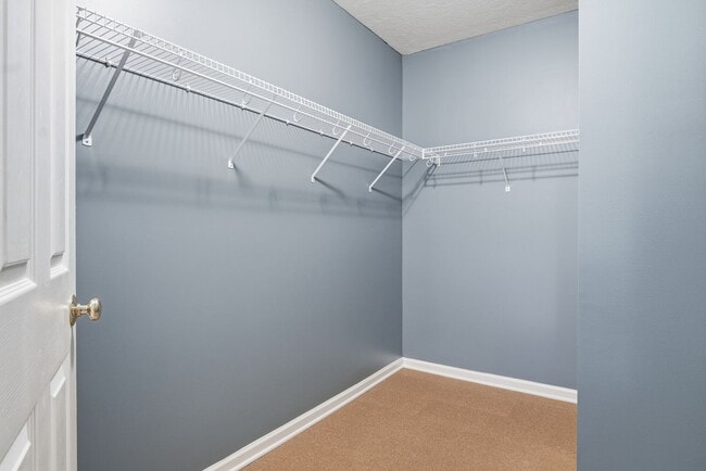 Building Photo - 4 Bed/3 Bath. Pet Friendly. Master on Main