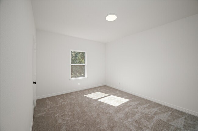 Building Photo - 3506 Talia Wood Ct