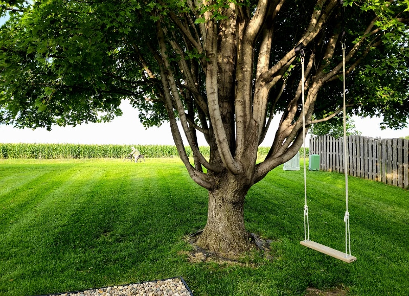 Building Photo - 8709 N 153rd St