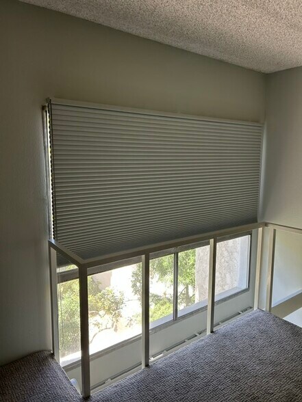 New blackout blinds - 1440 Veteran Ave