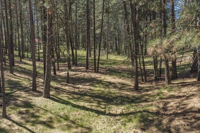 Building Photo - Private 2.5-Acre Country Retreat — Minutes from Downtown Spokane