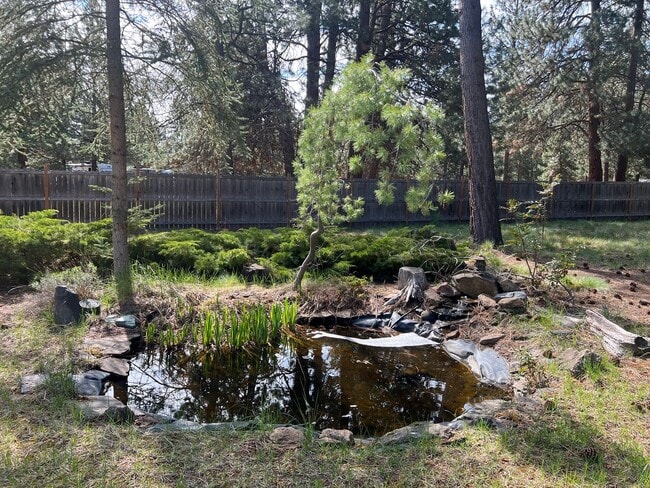 Building Photo - Nature Retreat on 0.6 Acres Near the Desch...