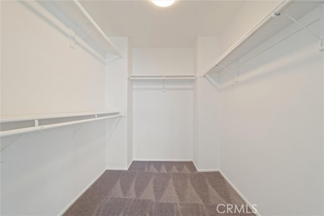 Building Photo - 2872 Coast Cir