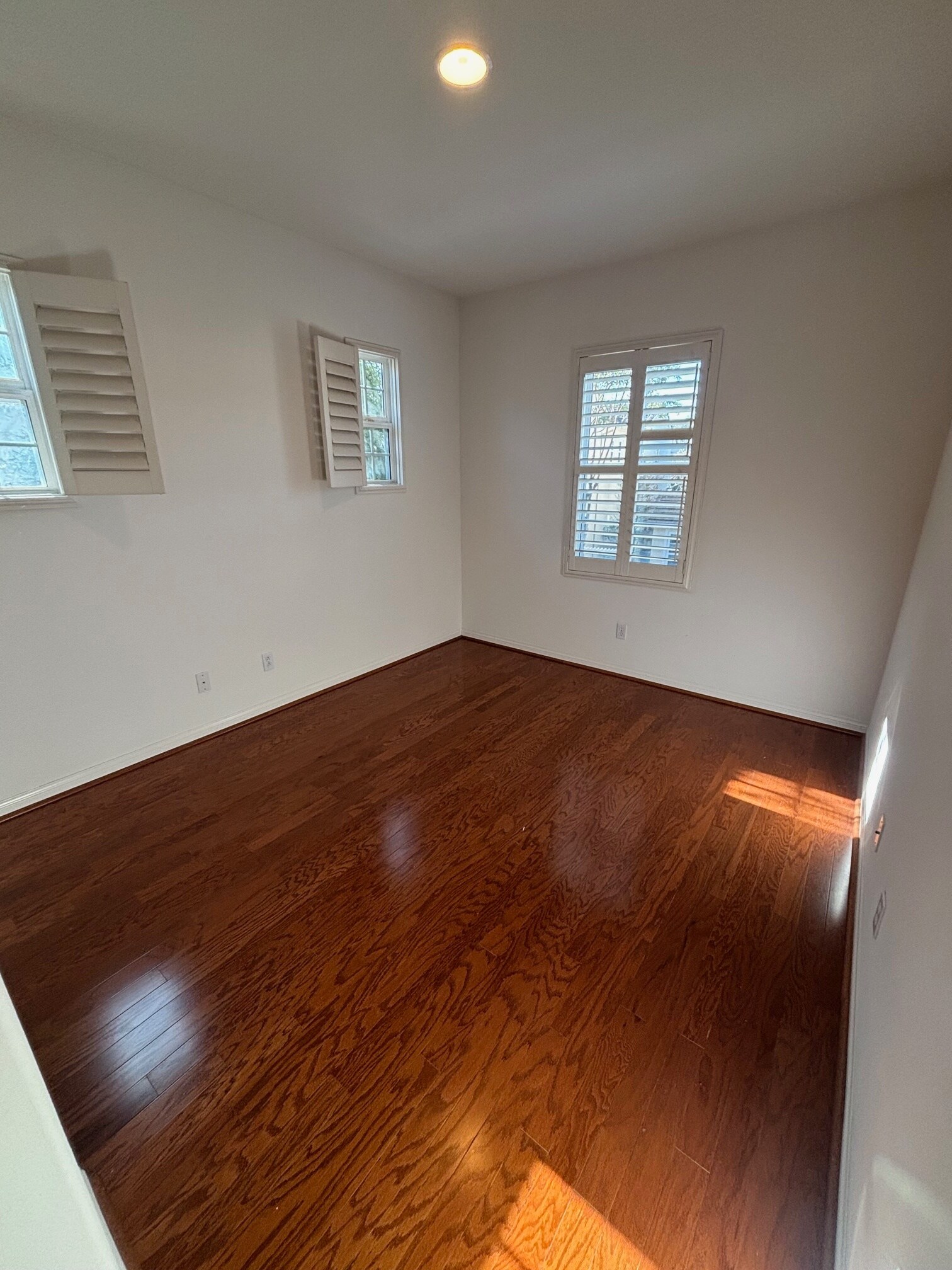 Building Photo - 13512 Scarlet Sage Trl