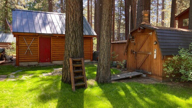 Building Photo - Furnished mountain cabin