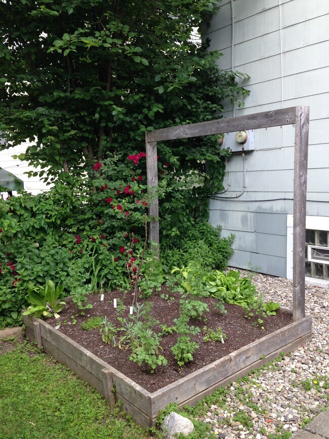 Building Photo - 42 Elmview Pl