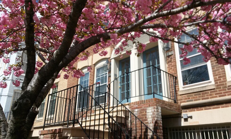 Elegant Entrance - 236 Maryland Ave NE