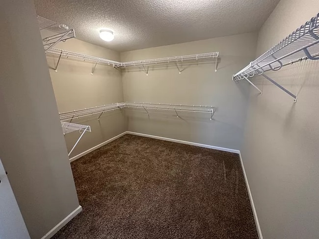 Building Photo - Gorgeous 5 Bedroom, 3.5 Bath Single Family...