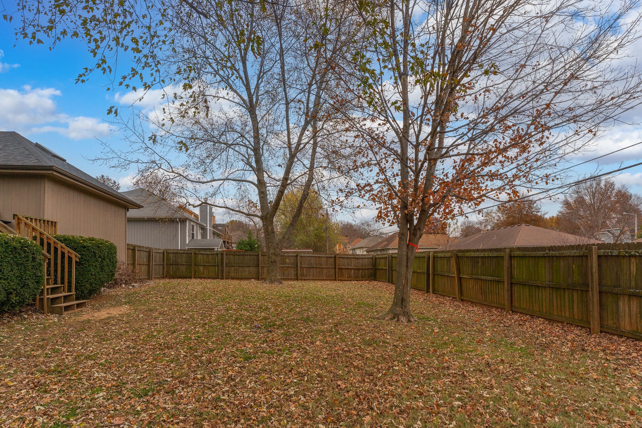 Back yard - 3668 W El Castile St