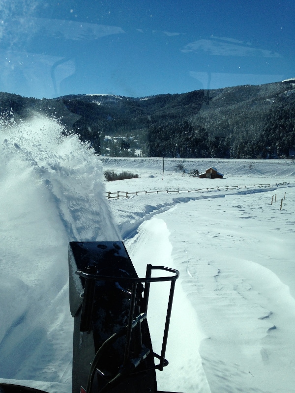 Building Photo - 77 Muir Rd