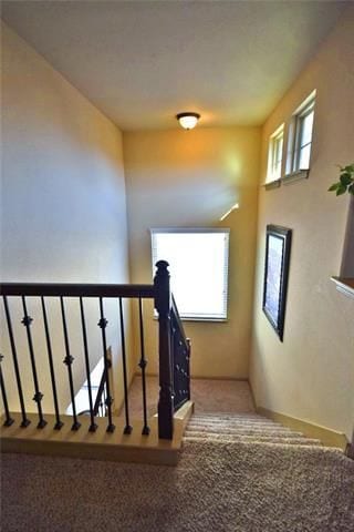 Building Photo - 10504 Branden Ct