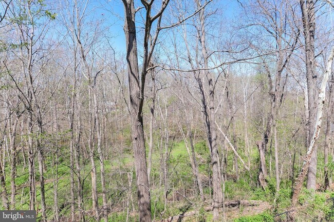 Building Photo - 20717 Waterfall Branch Terrace
