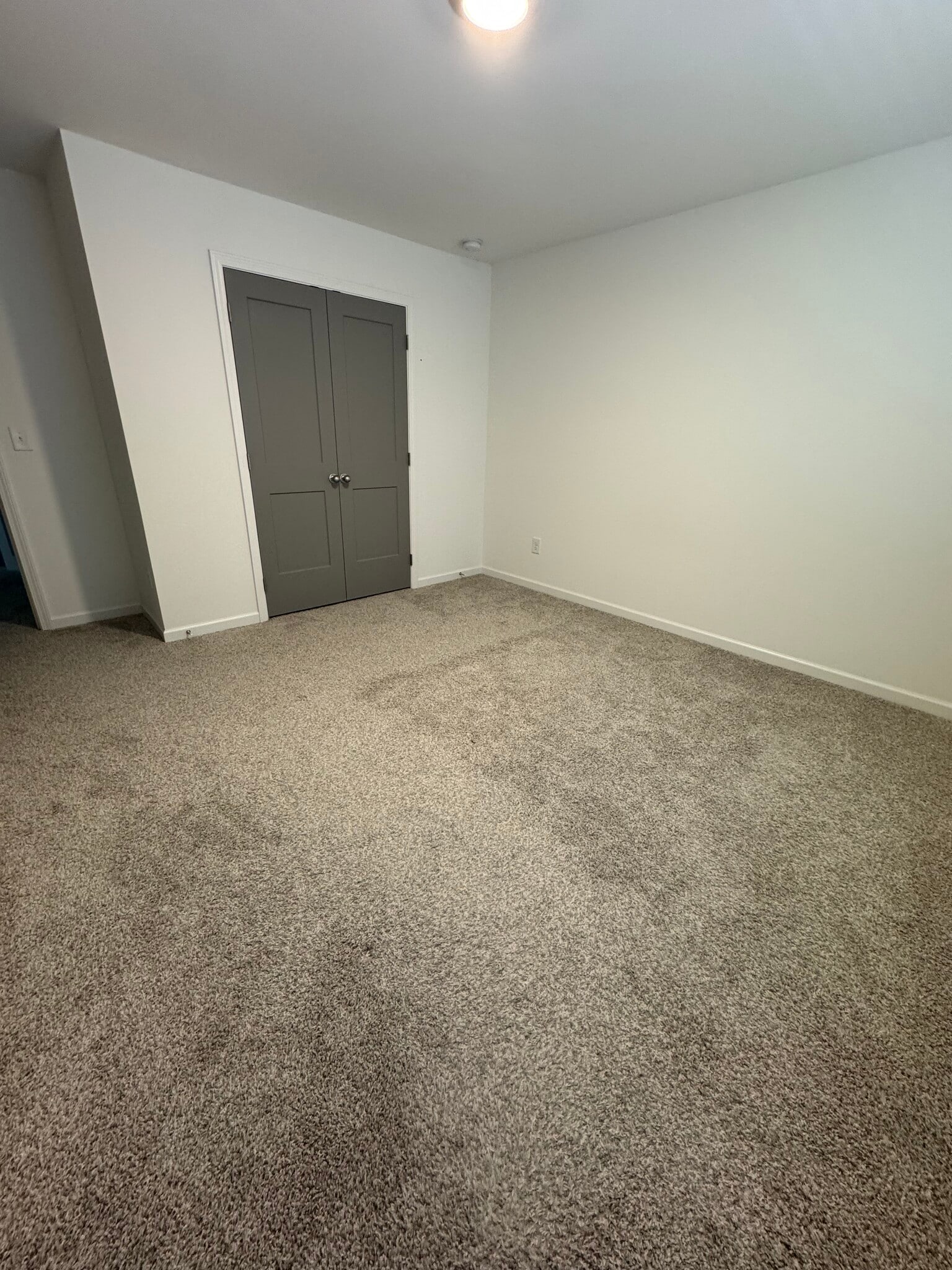 Building Photo - 3411 Adler Trl