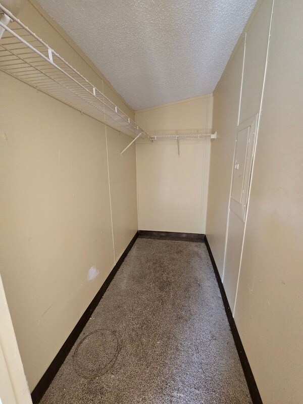 Building Photo - 2115 Cattail Cir