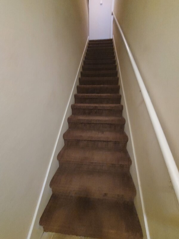 Building Photo - 303 Southern Pecan Cir